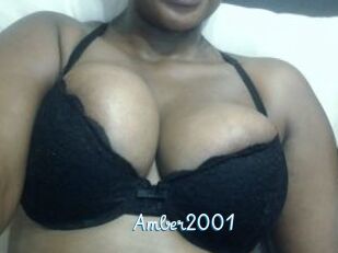 Amber2001