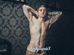 AndyTwinkX