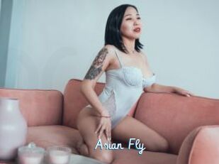 Asian_Fly