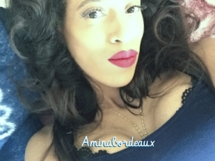 Aminabordeaux