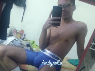 Andypolla