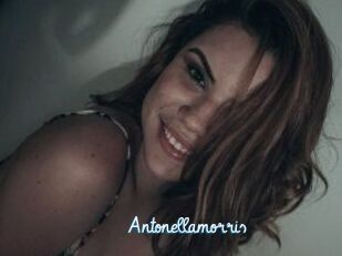 Antonellamorris