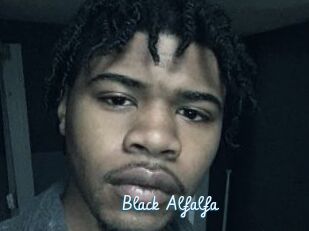 Black_Alfalfa