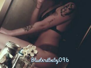 Bluebirdbaby096