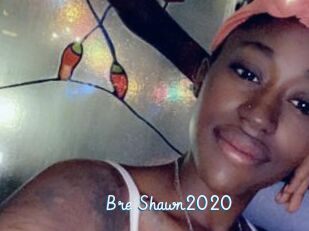 Bre_Shawn2020