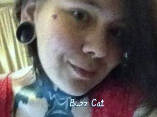 Buzz_Cat