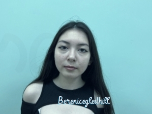 Berenicegledhill