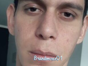 Brandonsex01