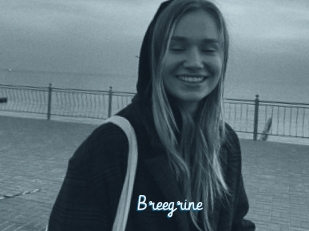 Breegrine