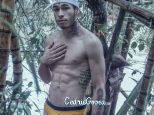 CedricGovea