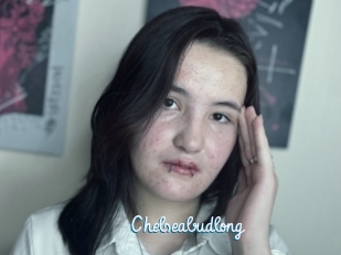 Chelseabudlong