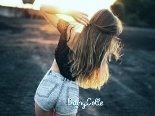 DaisyColle