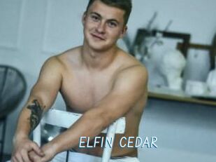 ELFIN_CEDAR