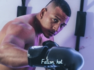 Falcon_hot