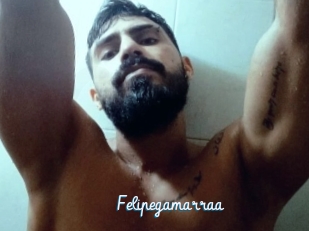 Felipegamarraa