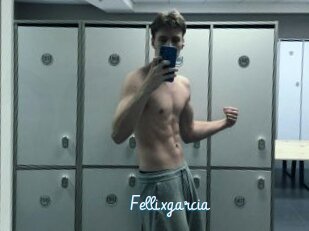 Fellixgarcia