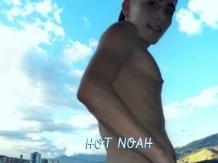 HOT_NOAH