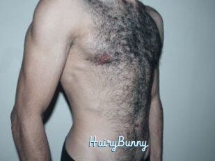 HairyBunny