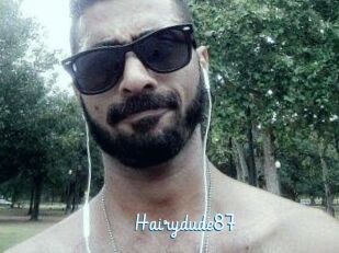 Hairydude87