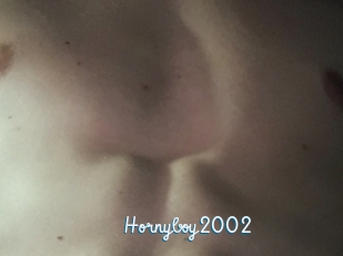 Hornyboy2002