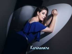 Karinanoire