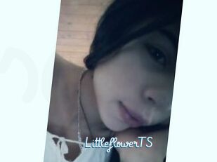 LittleflowerTS