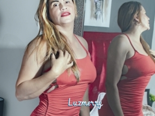 Luzmerry