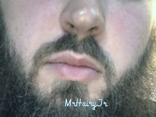 MrHairyJr