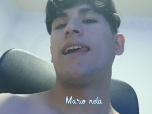 Mario_neta