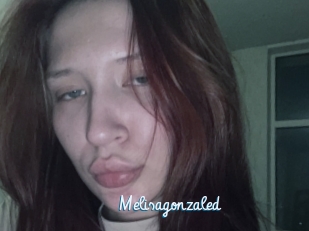 Melisagonzaled