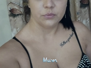 Muisor