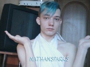 NATHAN_SPARKS