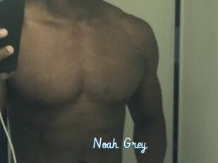 Noah_Grey