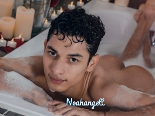 Noahangell