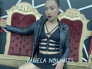 PAMELA_NOLIMITS