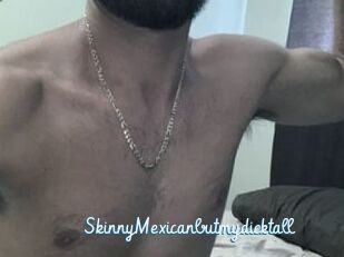 SkinnyMexicanbutmydicktall