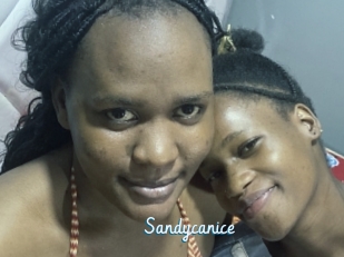 Sandycanice