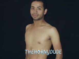 THEHORNYDUDE