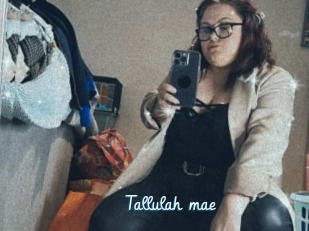 Tallulah_mae