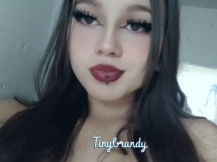 Tinybrandy